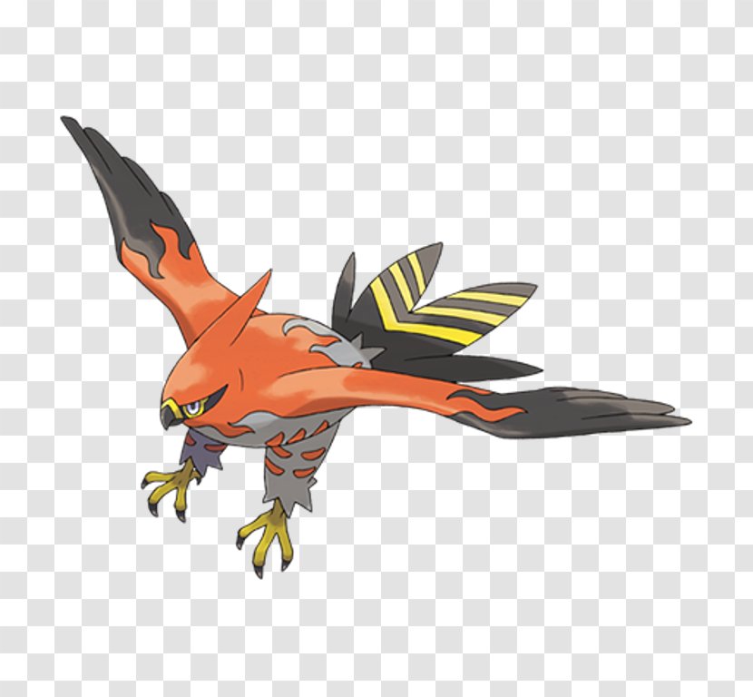 Pokémon X And Y Talonflame Universe Fletchinder - Wing - Noibat Transparent PNG