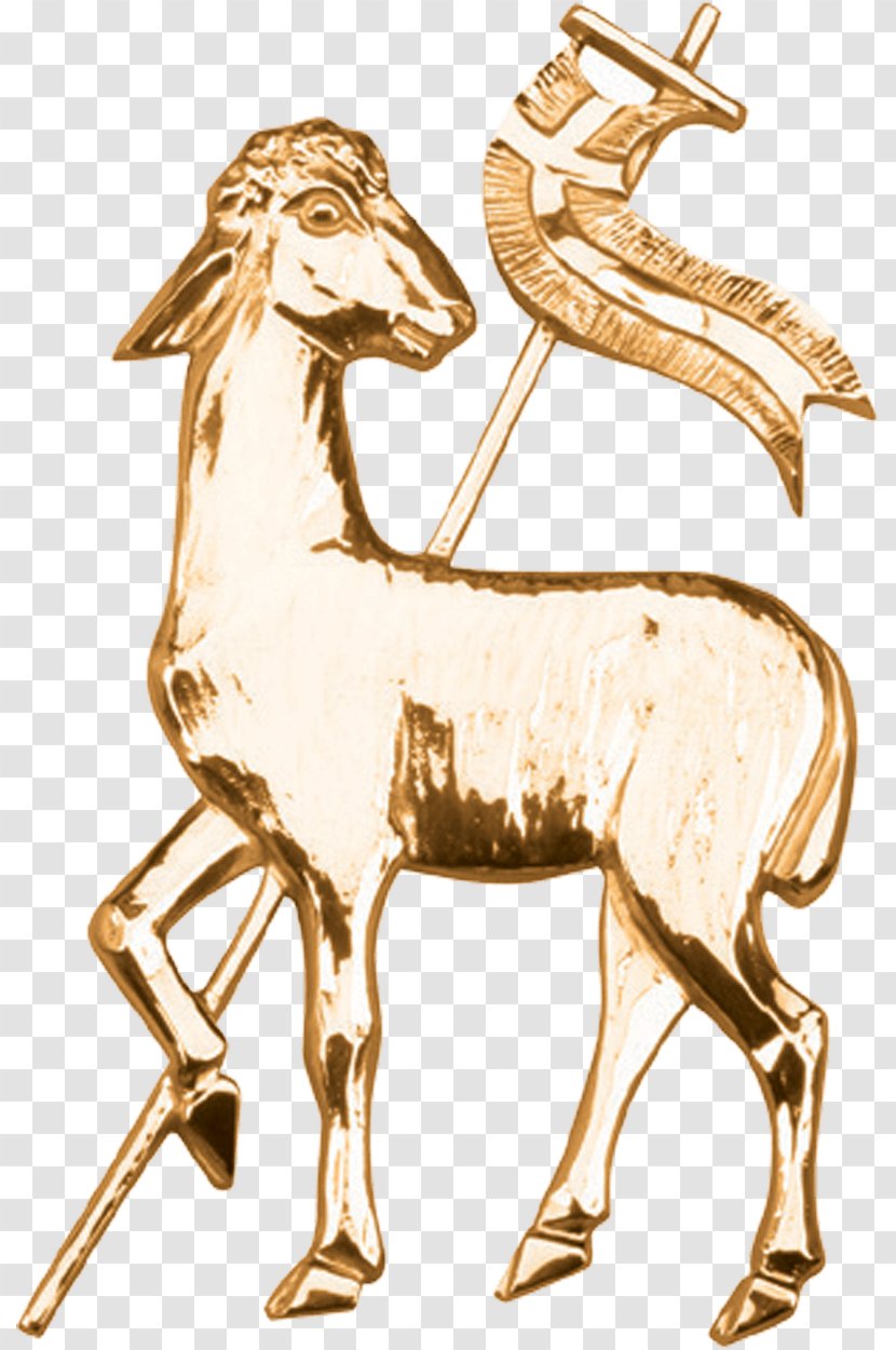 Lamb Of God Deer Bronze Giraffids - Horn Transparent PNG