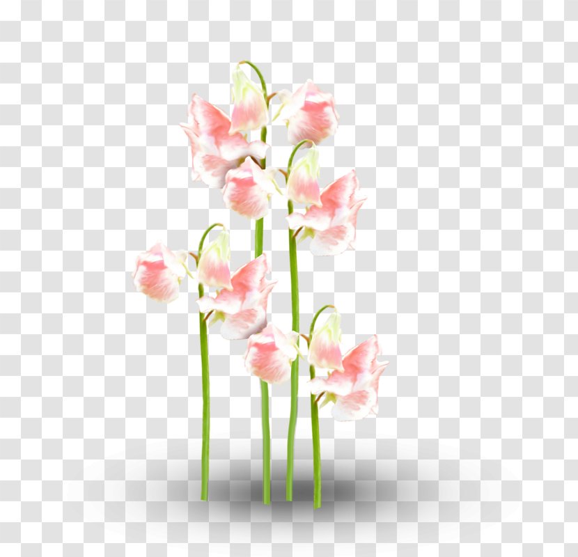 Floral Design Flower Motif Pattern - Beautiful Patterns Transparent PNG