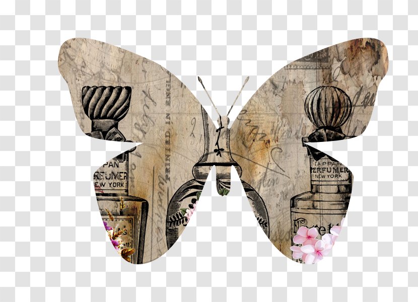 Moth - Invertebrate - Jo Ann Wentzel Transparent PNG