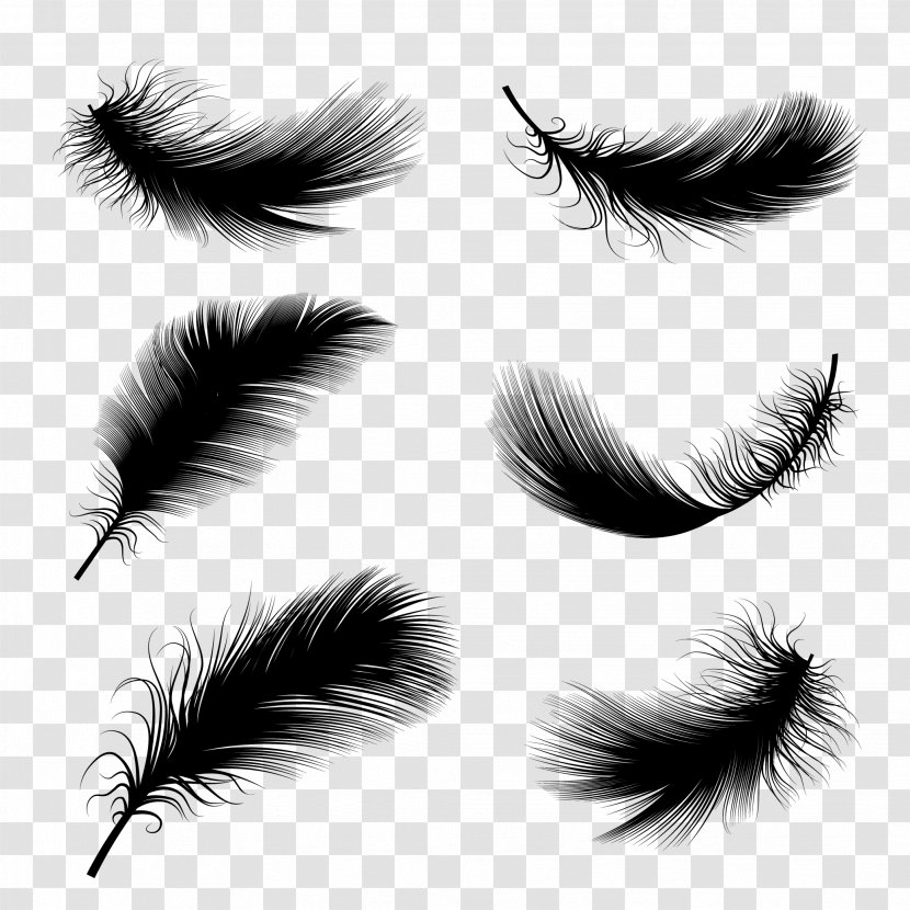 Bird Feather Drawing Illustration - Black Hair - Floating Transparent PNG
