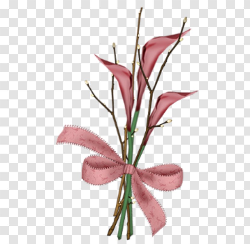 Floral Design Cut Flowers Plant Stem Pink M - Flowering Transparent PNG