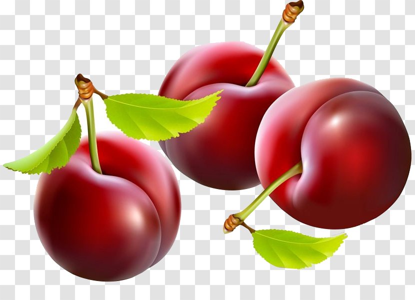 Plum Clip Art - Local Food - Hand-painted Cherry Transparent PNG