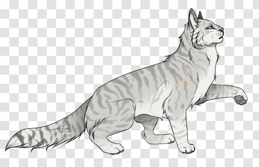 Whiskers Wildcat Dog Mammal - Organism - Cat Transparent PNG