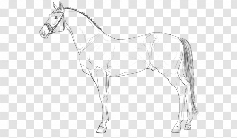 Hanoverian Horse Line Art Lusitano Pony Stallion - Mane - Drawn Transparent PNG
