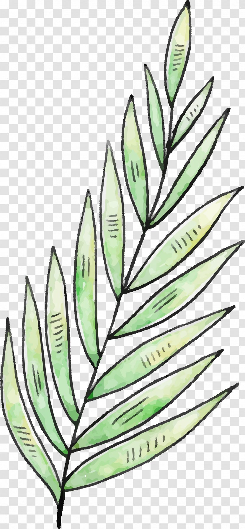 Watercolor Painting Green - Designer - Hand Painted Leaves, Grass Transparent PNG