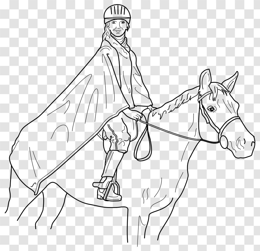 Horse Equestrianism Drawing Clip Art - Joint - Rider Transparent PNG