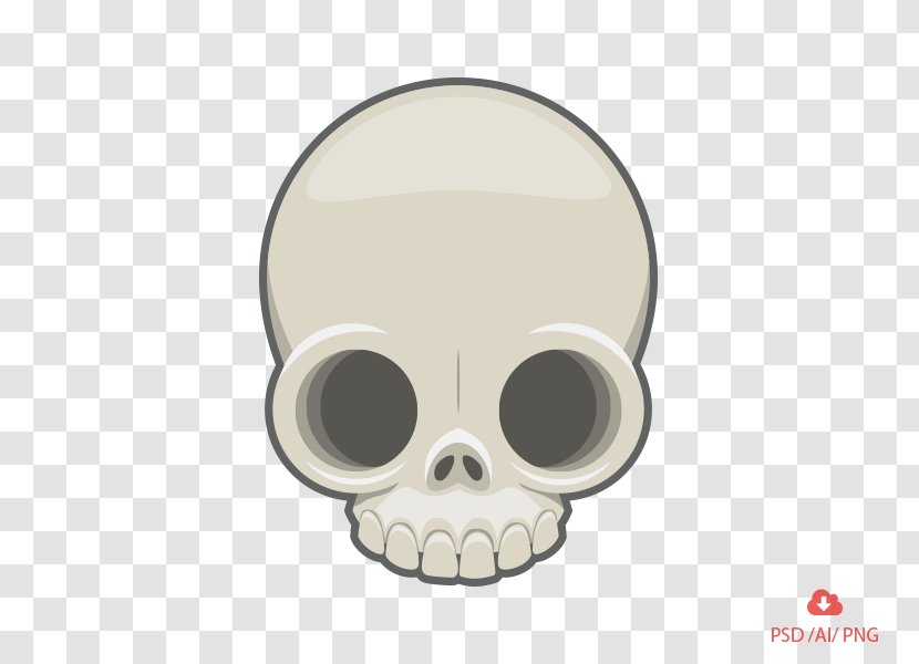 Skull Dribbble - Bone Transparent PNG
