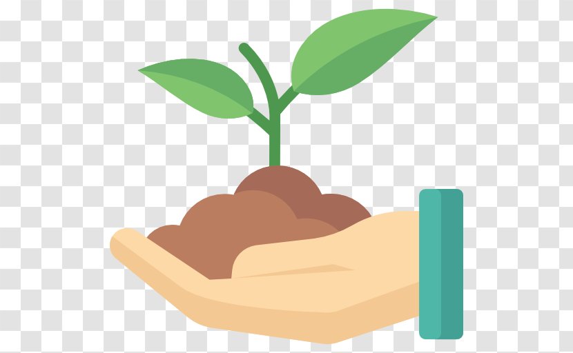 Sylvan Nursery, Inc. Consultant Organization Seed - Tree Transparent PNG
