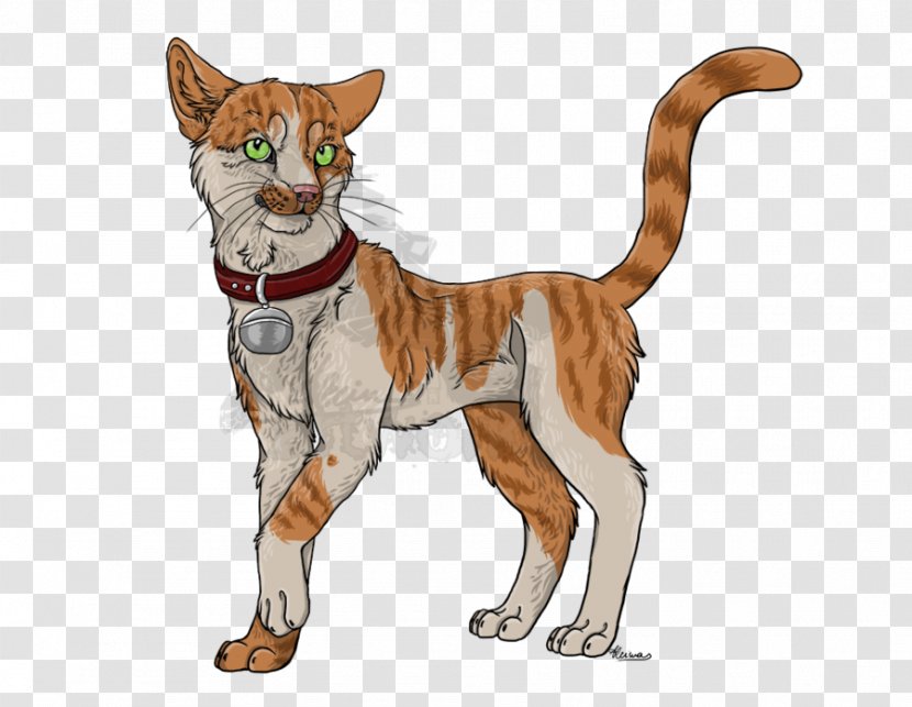 Whiskers Tiger Wildcat Canidae Transparent PNG