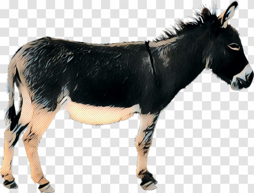 Cattle Mustang Donkey Pack Animal Fur - Pony - Terrestrial Transparent PNG