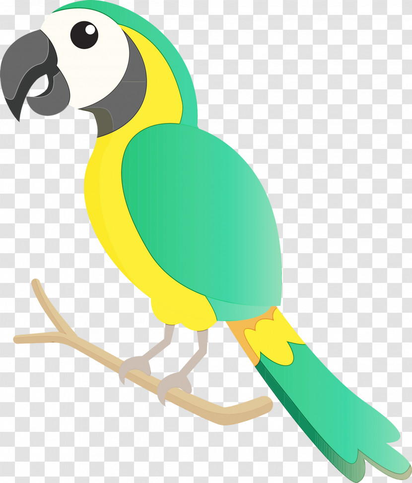 Macaw Parrots Beak Transparent PNG