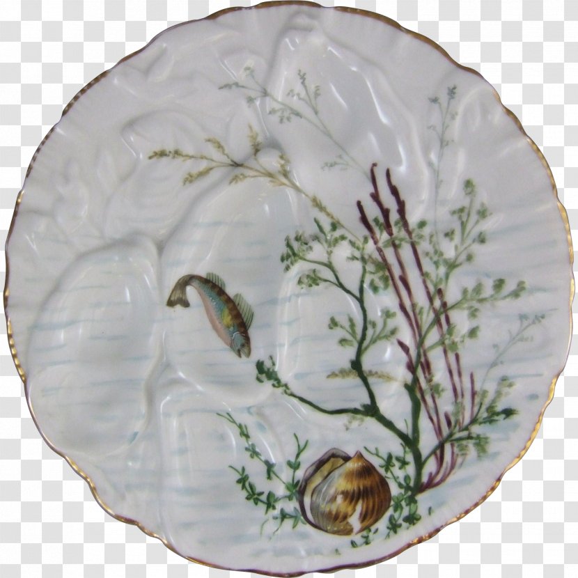 Porcelain Organism - Dishware Transparent PNG