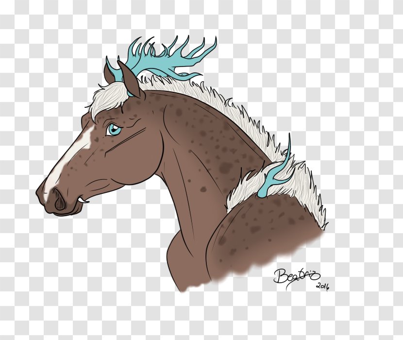 Mane Mustang Halter Donkey Pack Animal - Head Transparent PNG