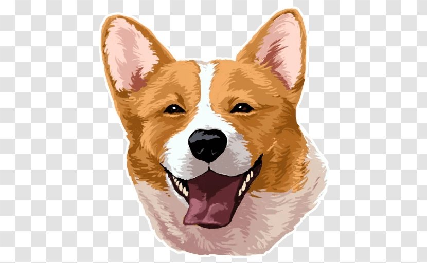 Pembroke Welsh Corgi Cardigan Sticker Dog Breed Telegram - Snout - Transparency And Translucency Transparent PNG