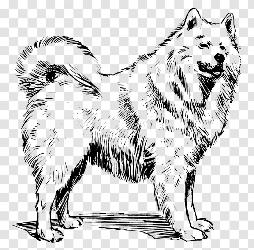 Samoyed Dog Alaskan Malamute Akita Breed Clip Art - Group - Dogs Clipart Transparent PNG