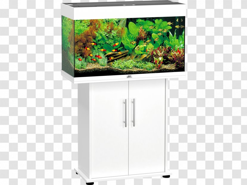 Aquariums Juwel Tropical Fish Aquarium Lighting - Screen Transparent PNG