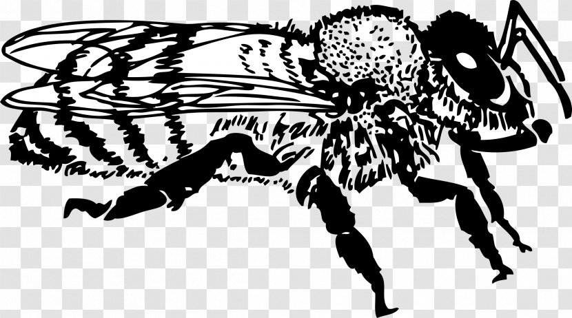 Honey Bee Clip Art - Black And White - Beehive Transparent PNG