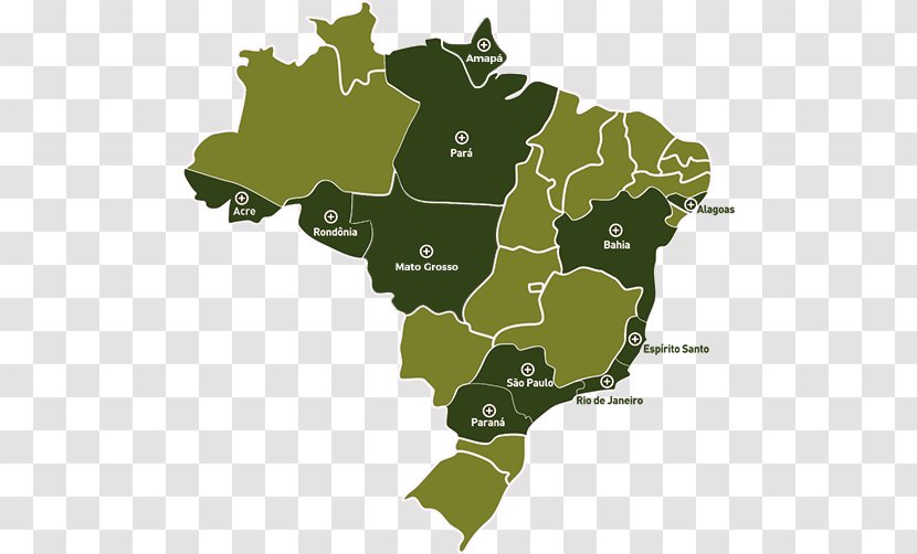 Brazil Stock Photography Vector Graphics Royalty-free Illustration - Map - Bantildeera Background Transparent PNG
