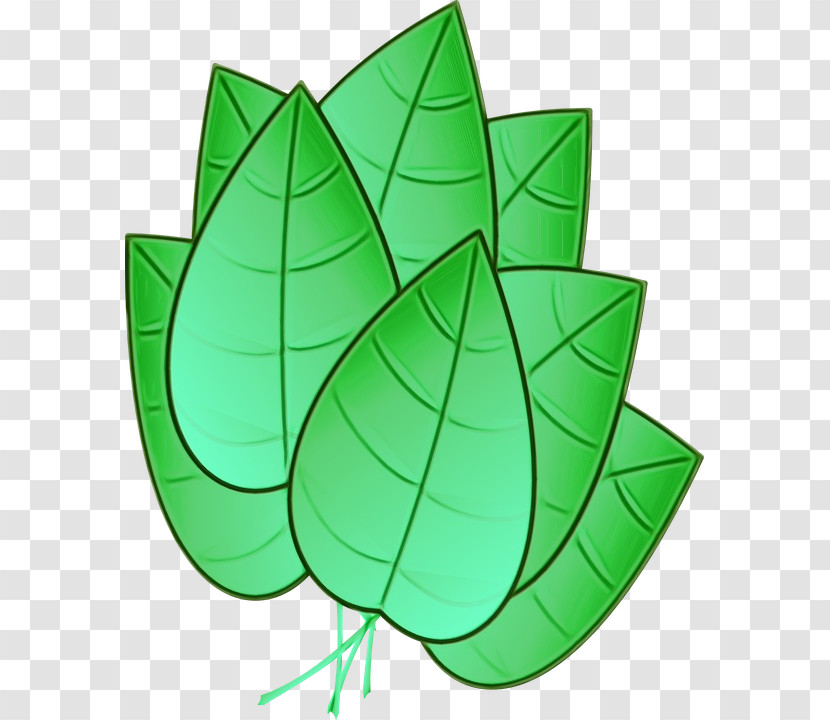 Leaf Circle Green Tree Plant Transparent PNG