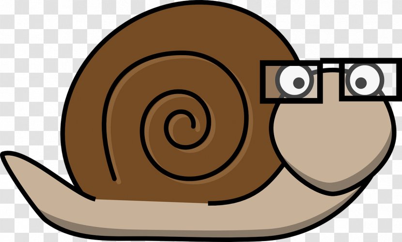 Sea Snail Clip Art - Snails And Slugs Transparent PNG