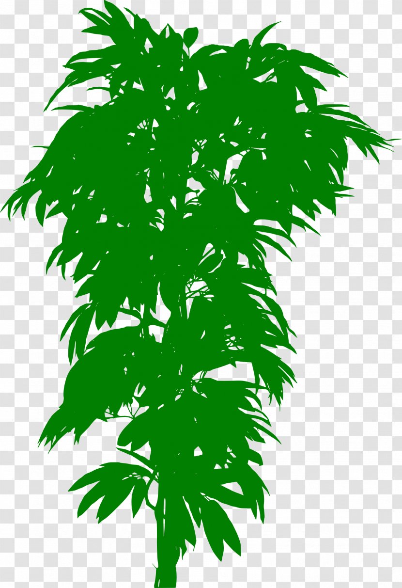 Plant Bonsai Treelet Trunk Leaf - Vase Transparent PNG