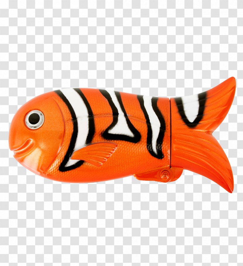 Bony Fishes Fish Fin Gill Cigarette Case Transparent PNG