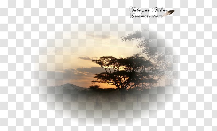 Serengeti Création Graphique Landscape Desktop Wallpaper Book - Photography - Sunset Dreams Transparent PNG