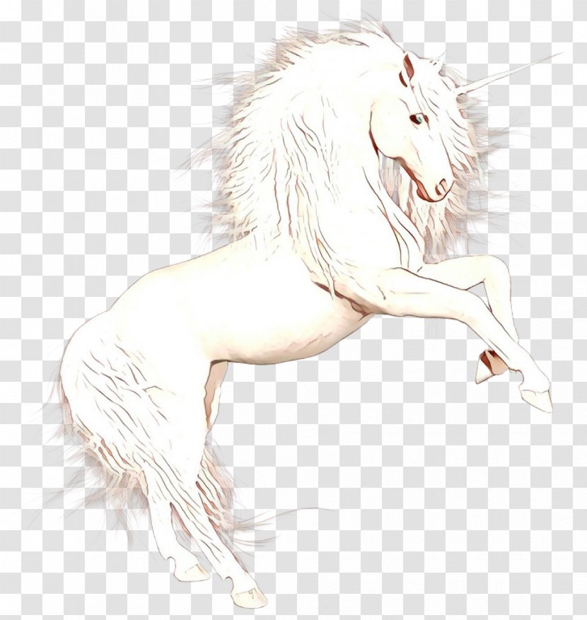 Lion Big Cat Sketch Illustration - Legendary Creature Transparent PNG