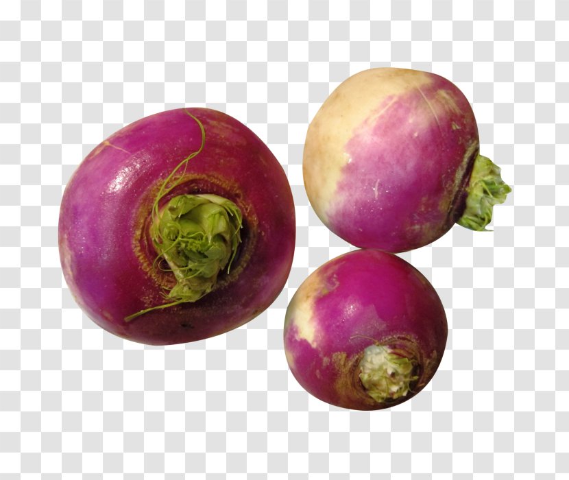 Turnip Root Vegetables Rutabaga - Beetroot - Vegetable Transparent PNG