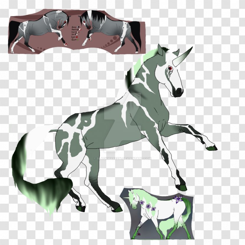 Horse Tack Pack Animal - Like Mammal Transparent PNG