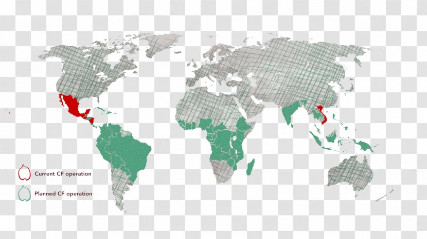 World Map Globe Animated Mapping - Information Transparent PNG