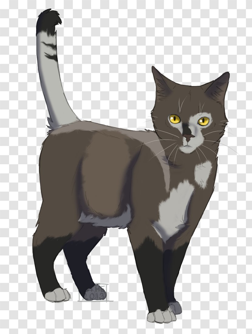 Whiskers Kitten Domestic Short-haired Cat Black - Short Haired Transparent PNG