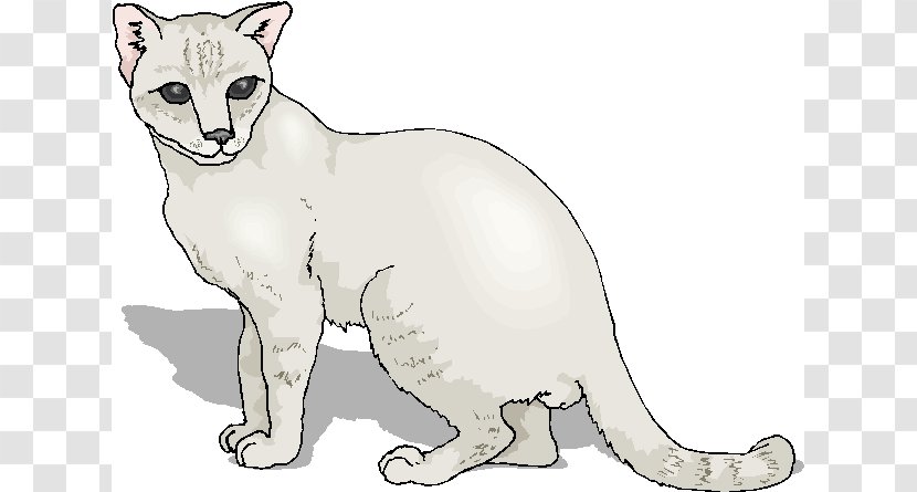 Wildcat Kitten Whiskers Clip Art - Carnivoran - January Cat Cliparts Transparent PNG
