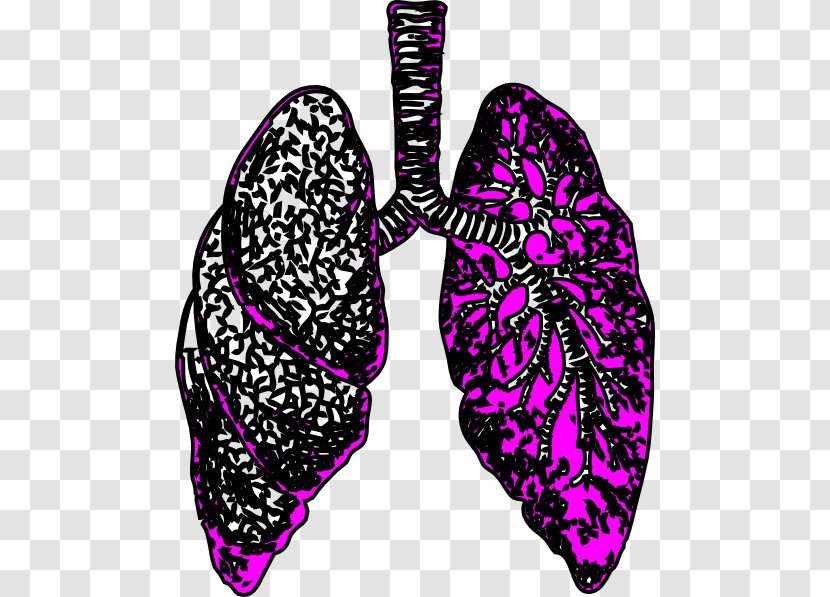 Lung Clip Art - Chronic Obstructive Pulmonary Disease - Small Lungs Cliparts Transparent PNG