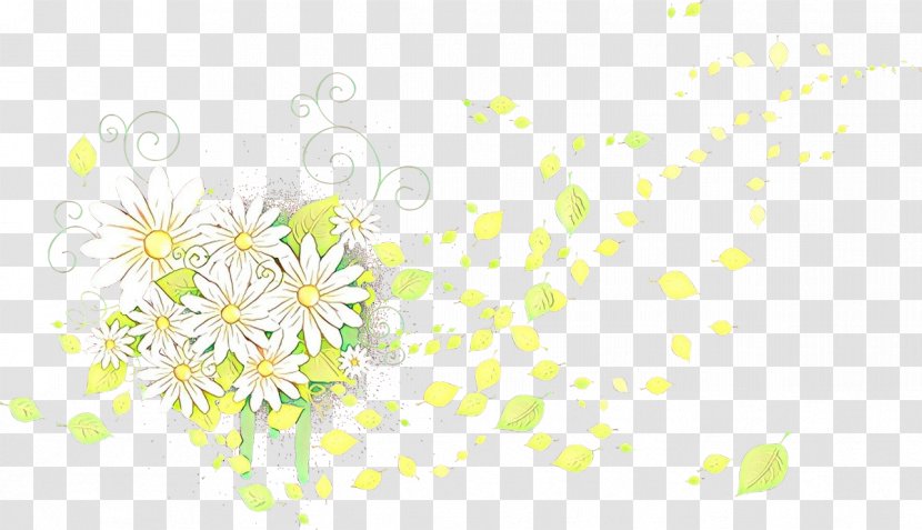 Floral Background - Computer - Wildflower Camomile Transparent PNG