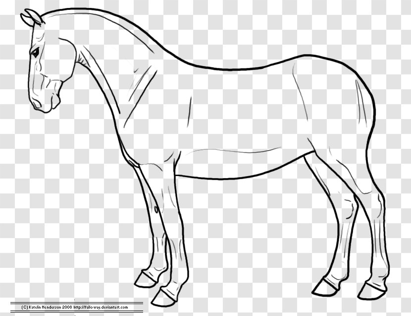 Standing Horse American Quarter Drawing How To Draw A Sketch - Stallion - Head Mask Transparent PNG