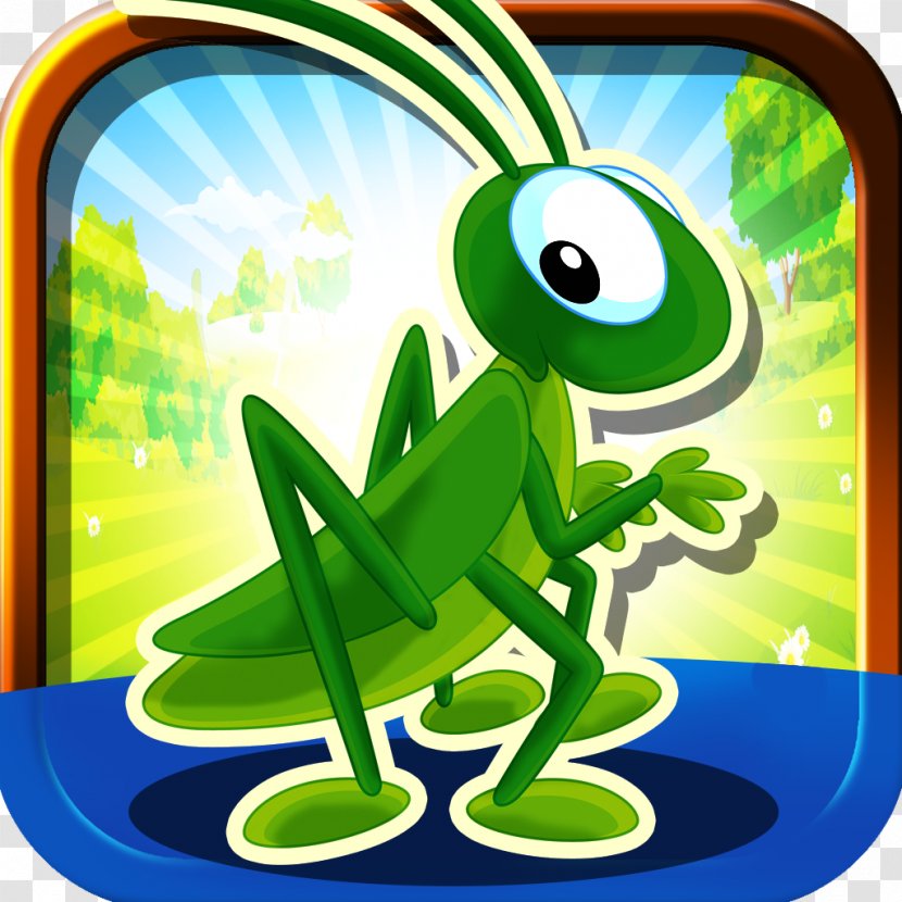 Jigsaw Puzzles Frog Amphibian Game School - Grass - Grasshopper Transparent PNG
