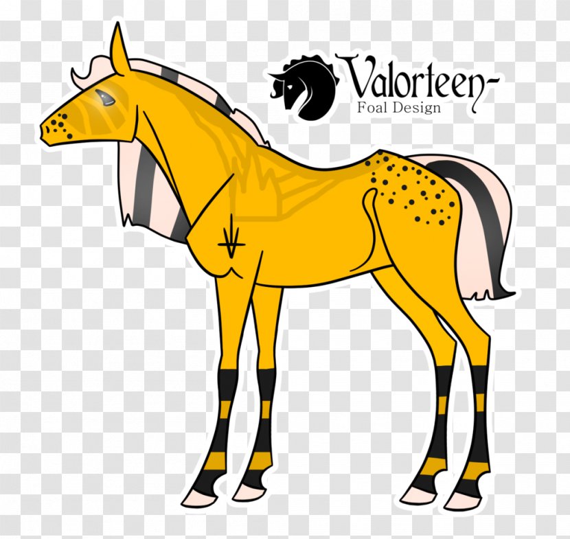 Mule Foal Giraffe Stallion Mustang - Cartoon Transparent PNG