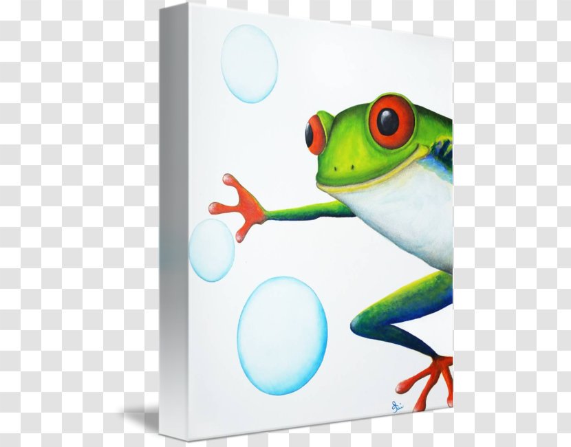 Tree Frog - Vertebrate Transparent PNG