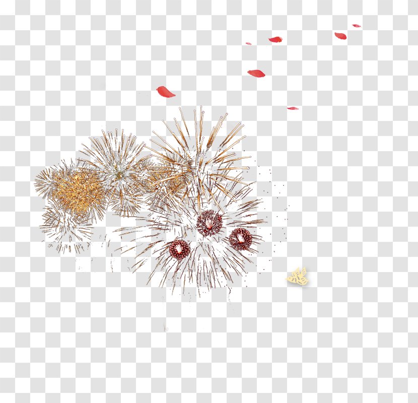Fireworks - Drawing - Special Effects Transparent PNG