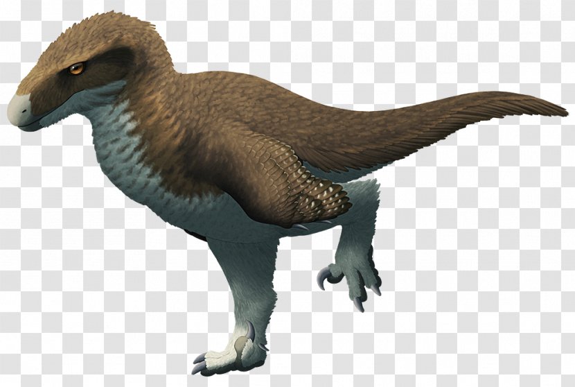 Utahraptor Velociraptor Proceratosaurus Cetiosaurus - Dicraeosauridae - Streamer Transparent PNG
