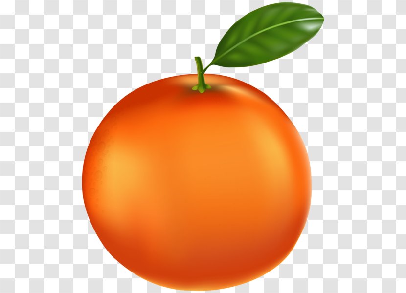 Tangerine Mandarin Orange Tangelo Clementine Bitter - Tomato Transparent PNG