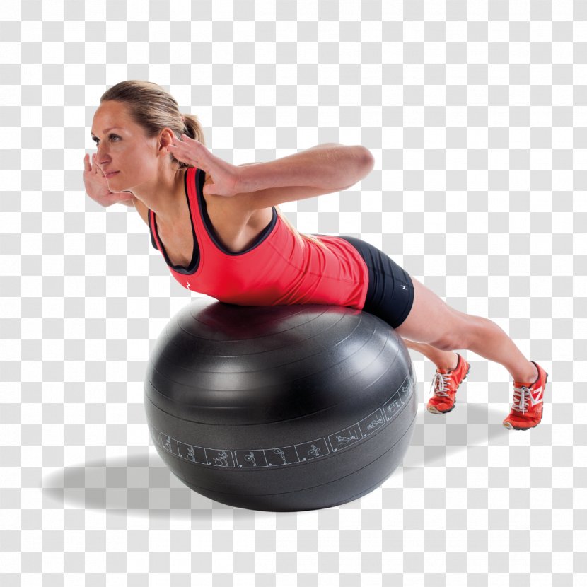 Exercise Balls Physical Fitness Centre Medicine - Frame - Pilates Transparent PNG