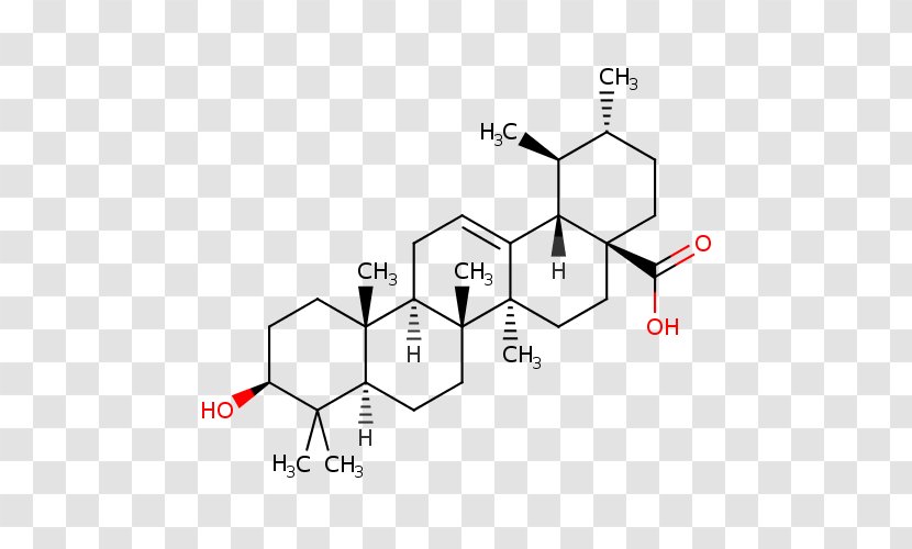 Amyrin Triterpene Ursolic Acid Oleanolic - Silhouette - Eriobotrya Transparent PNG