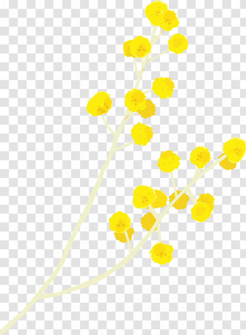 Yellow Flower Plant Chamomile Pedicel Transparent PNG