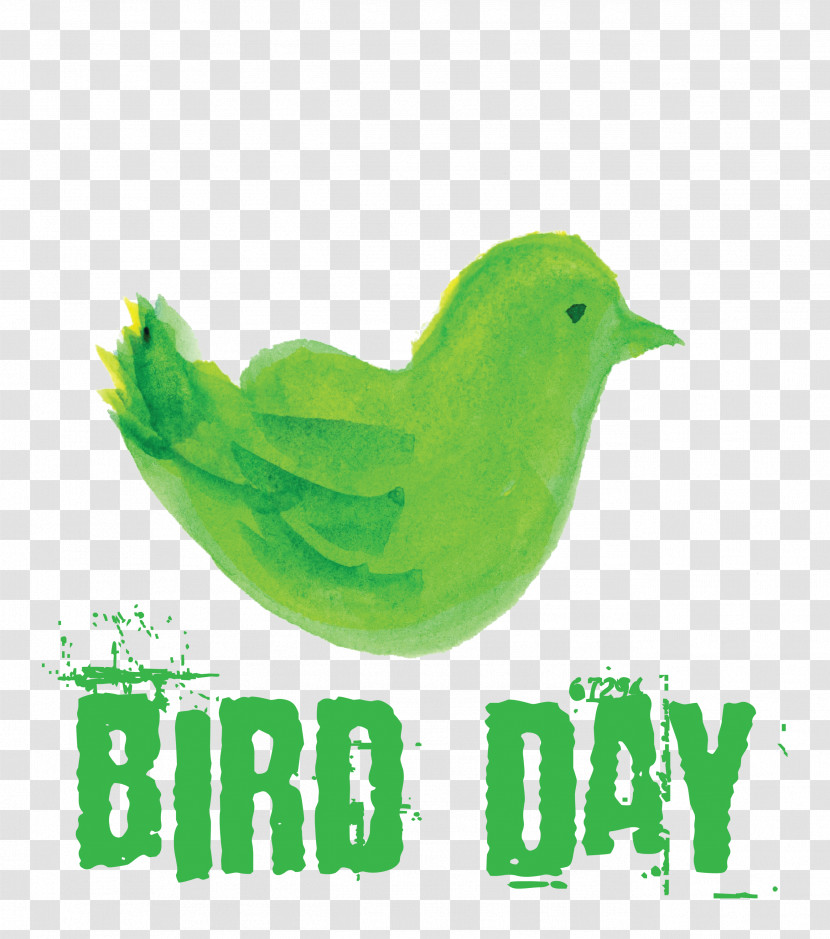 Bird Day Happy Bird Day International Bird Day Transparent PNG