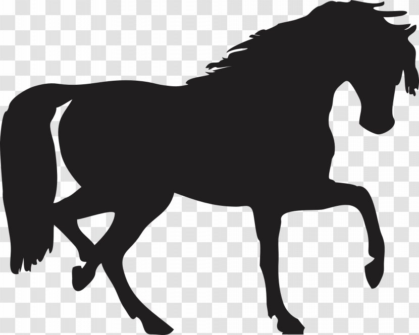 Horse Pony Silhouette Shadow - Draft - Black Siluete Image Transparent PNG