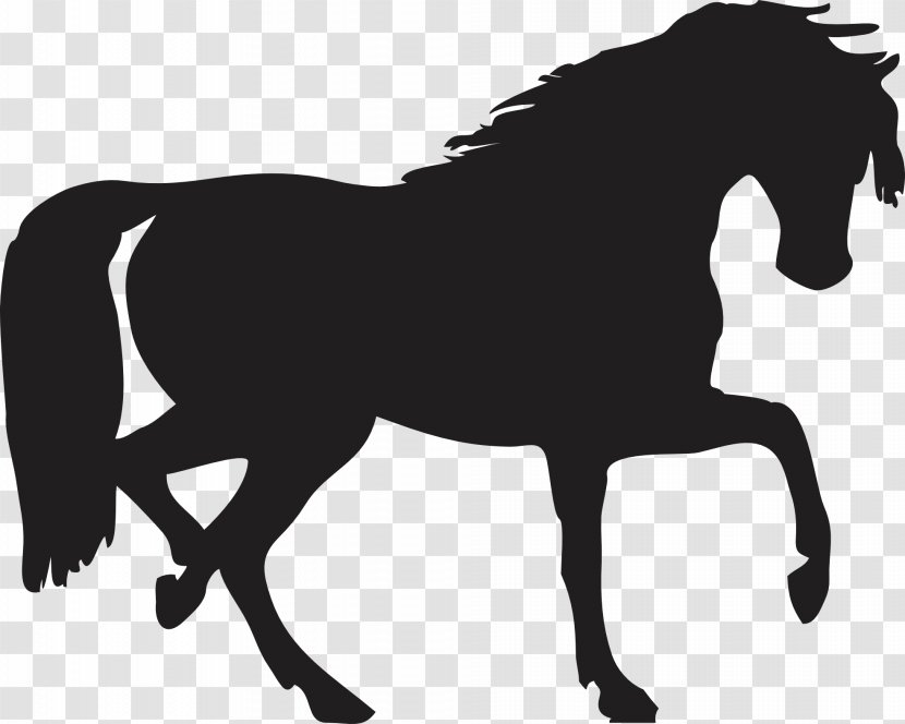 Horse Pony Silhouette Shadow Draft Black Siluete Image Transparent Png