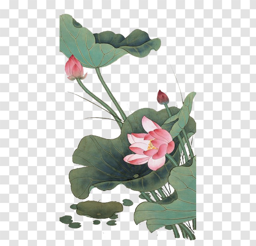 China Chinese Painting Gongbi Bird-and-flower - Plant Stem - Style Lotus Transparent PNG